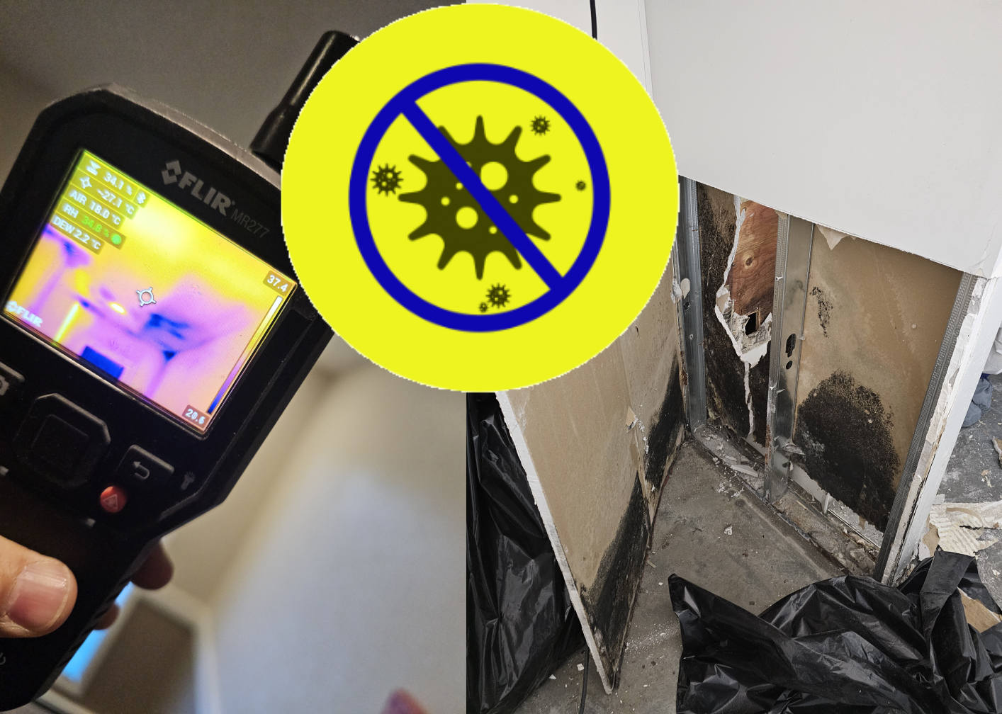 Remediation services in Edmonton – mold inspection with thermal imaging and black mold removal by The Carpenter Edmonton Ltd.